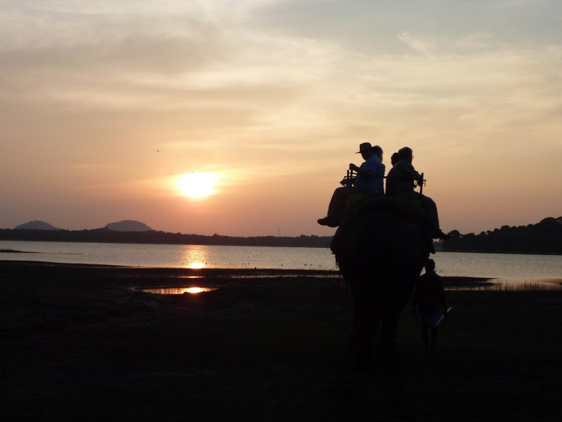Sril Lanks MM Feb 2014-1925.jpg